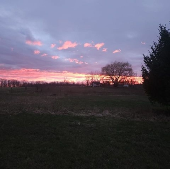 Meet your Posher, Megan - Picture 1 of 1